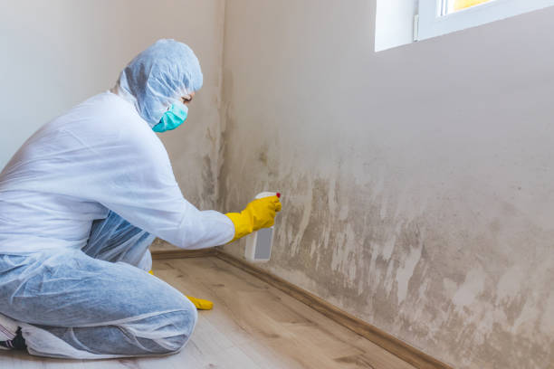 Crawl Space Mold Remediation treatment of floor joists in Liverpool