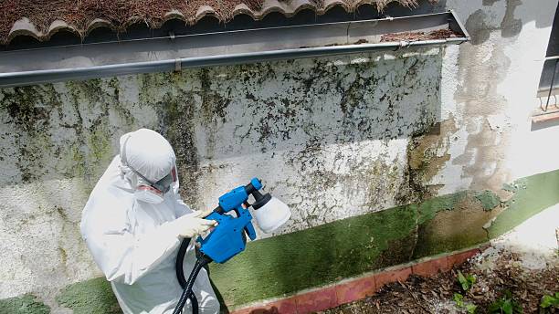Mold Remediation service in Liverpool, Liverpool, PA